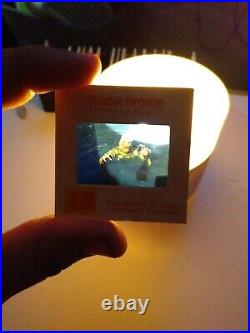 1950s photo slides Creature from the black lagoon and robots spaceships lot 19