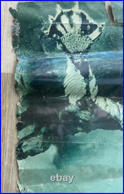 1972 The Creature From The Black Lagoon-Personality Posters #550 Poster 39x28