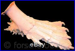 Creature From the Black Lagoon Costume Feet Cast Directly From Original Molds