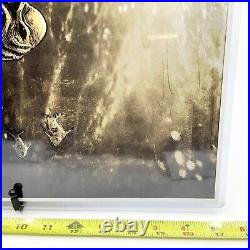 Creature From the Black Lagoon Signed Art Print Alex Kujawa Aaron Nicholson Creature From the Black Lagoon Signed Art Print Alex Kujawa Aaron Nicholson