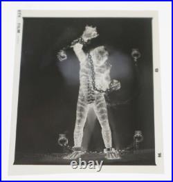 Creature from the Black Lagoon 3pc Photo Negatives Famous Monsters Archive