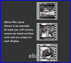 FILMCELLS The Creature From The Black Lagoon Universal Monsters Double Framed