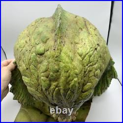 Famous Monsters Of Filmland Creature From BLACK LAGOON Latex Full Mask Neck Bib