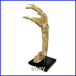 Fossilized Creature From The Black Lagoon Hand Universal Monsters Prop Replica