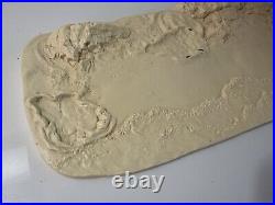 Rare! Creature From The Black Lagoon Model Kit