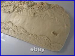 Rare! Creature From The Black Lagoon Model Kit