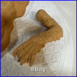 Tony McVey Unpainted Resin Creature From The Black Lagoon Model Statue 9 (R2A) Tony McVey Unpainted Resin Creature From The Black Lagoon Model Statue 9 (R2A)