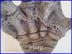 Universal Monsters Movie 11 Latex Creature from the Black Lagoon Hand