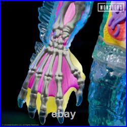 Universal Monsters Super Cyborg Creature from the Black Lagoon Figure Super 7 Universal Monsters Super Cyborg Creature from the Black Lagoon Figure Super 7