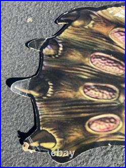 Vintage Creature from the Black Lagoon 6' Cardboard Cutout Promo Very Rare